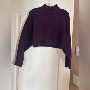 Wilfred Cropped Crewneck Sweater in Plum